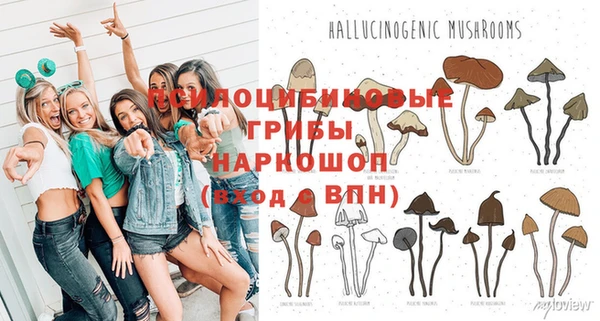 марки nbome Богородицк